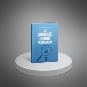 The Audience Insight Framework