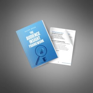 The Audience Insight Framework